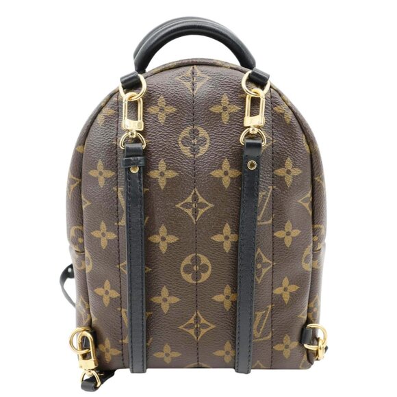 Louis Vuitton Palm Spring Mini Monogram Canvas Backpack Brown - Picture 4 of 15